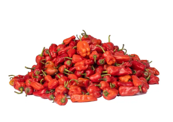 Pepper - Tatase Grade A