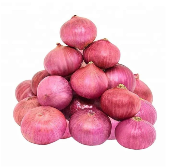 Onions - Red - Small Bowl